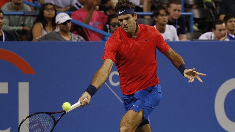 del potro.jpg