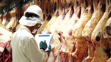 Las exportaciones de carnes seguirán sin retenciones hasta el 31 de octubre