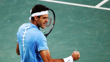 Del Potro derrotó a Karlovic en los cuartos de final del ATP de Estocolmo