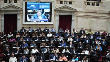 Diputados avanza con el abordaje de los proyectos sobre Discapacidad