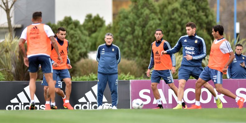 seleccion entrenamiento