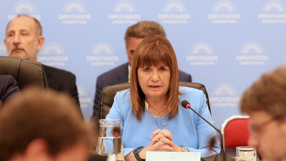 Bullrich admitió que desconocía los cambios para el área de Discapacidad en el Presupuesto 2027