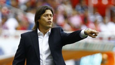 Matías Almeyda: Algunos iríamos nadando a la selección