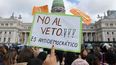 veto a la emergencia en discapacidad: organizaciones se manifestaron en el congreso