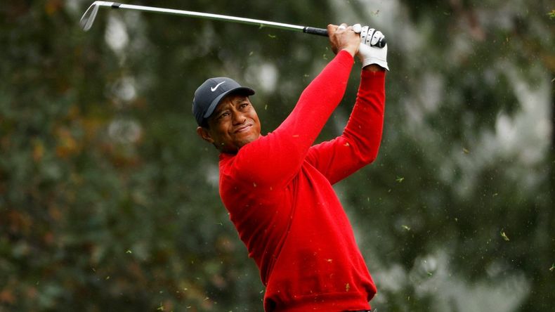 tiger.jpg