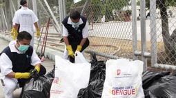 La OMS declara al virus de Zika emergencia sanitaria mundial