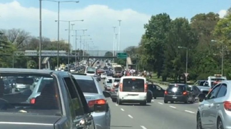 barra de tigre2.jpg