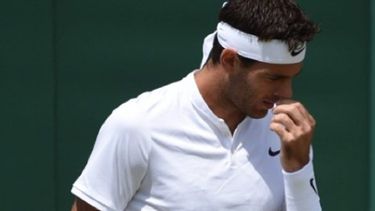 Del Potro busca seguir su racha positiva en el torneo de Basilea