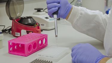 La OMS admite que falta información para entender cómo empezó la pandemia