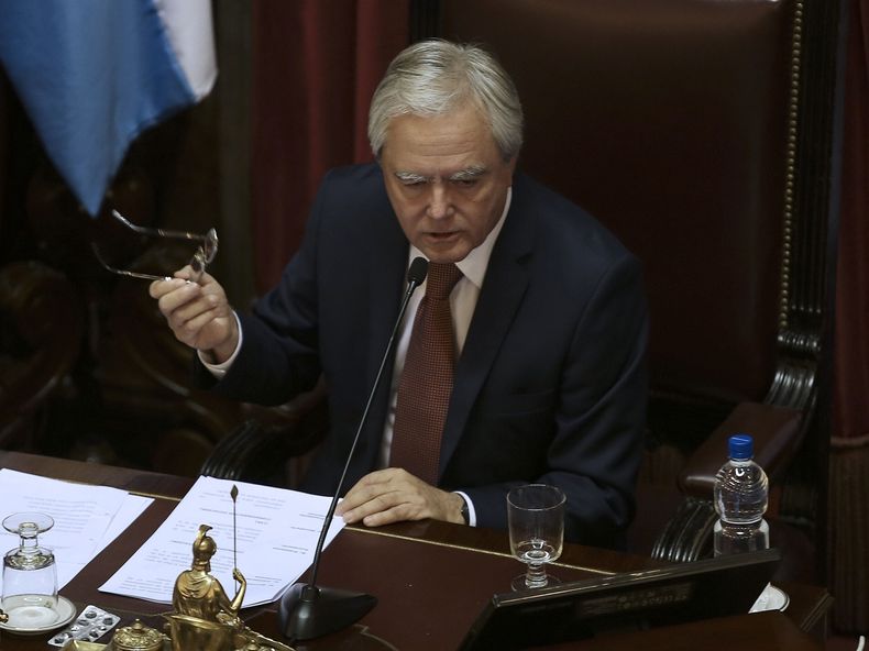 pinedo-senado.jpg