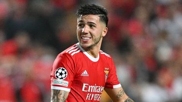 Enzo Fernández volvió al Benfica con un golazo
