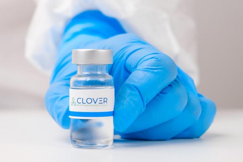 clover.jpg