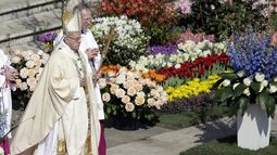 El papa Francisco pidió por el pueblo venezolano y los refugiados