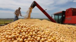 El Gobierno cerró el registro para anotar exportaciones de granos