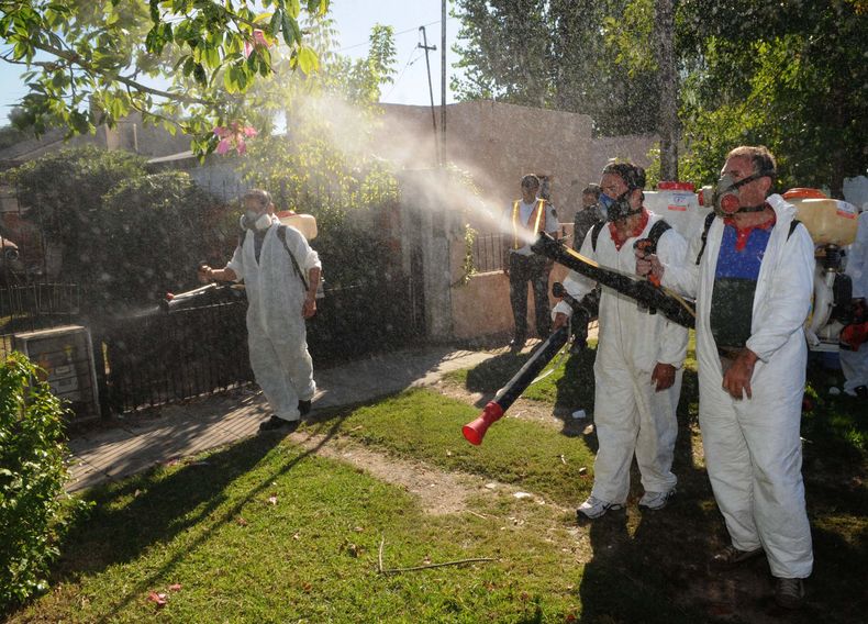 dengue fumigación