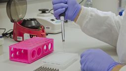Chile confirmó tres casos de la variante ómicron y cuatro en estudio